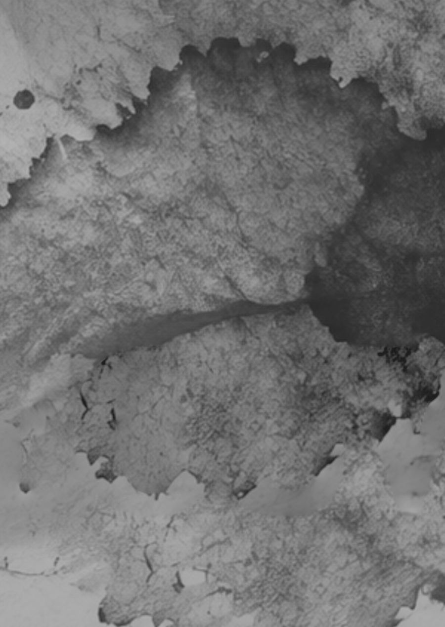 Torn washi paper stained with ink