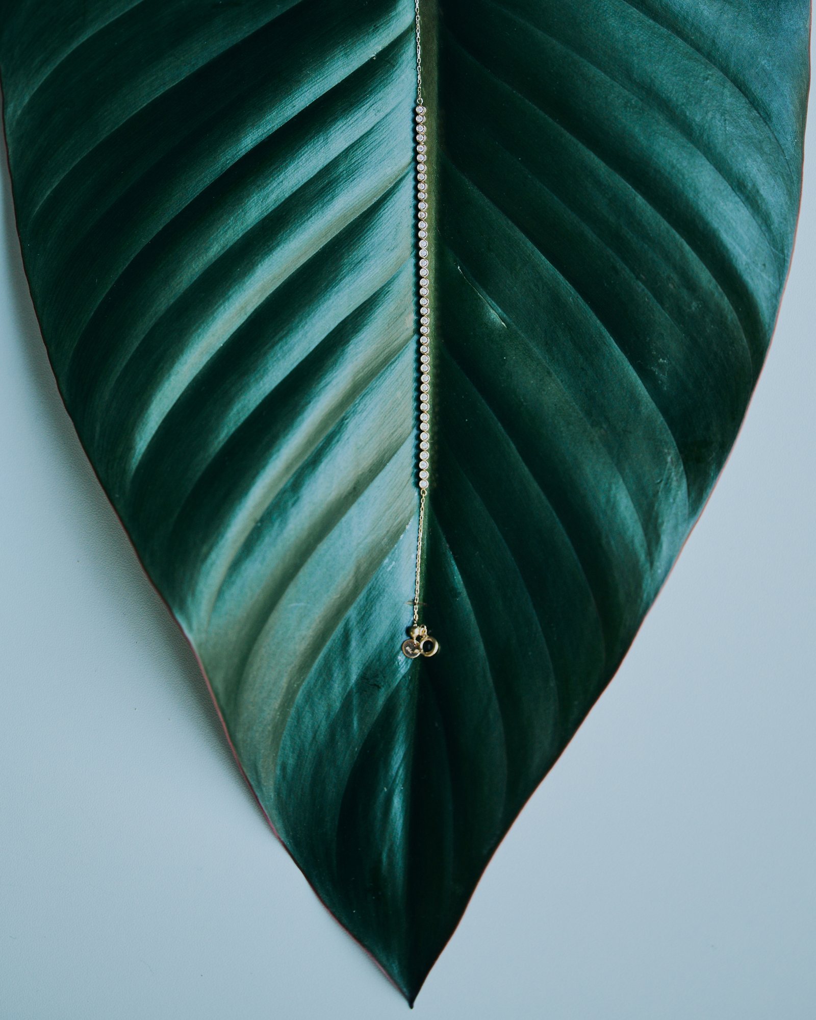 Fine gold tennis chain along the vein of a green leaf