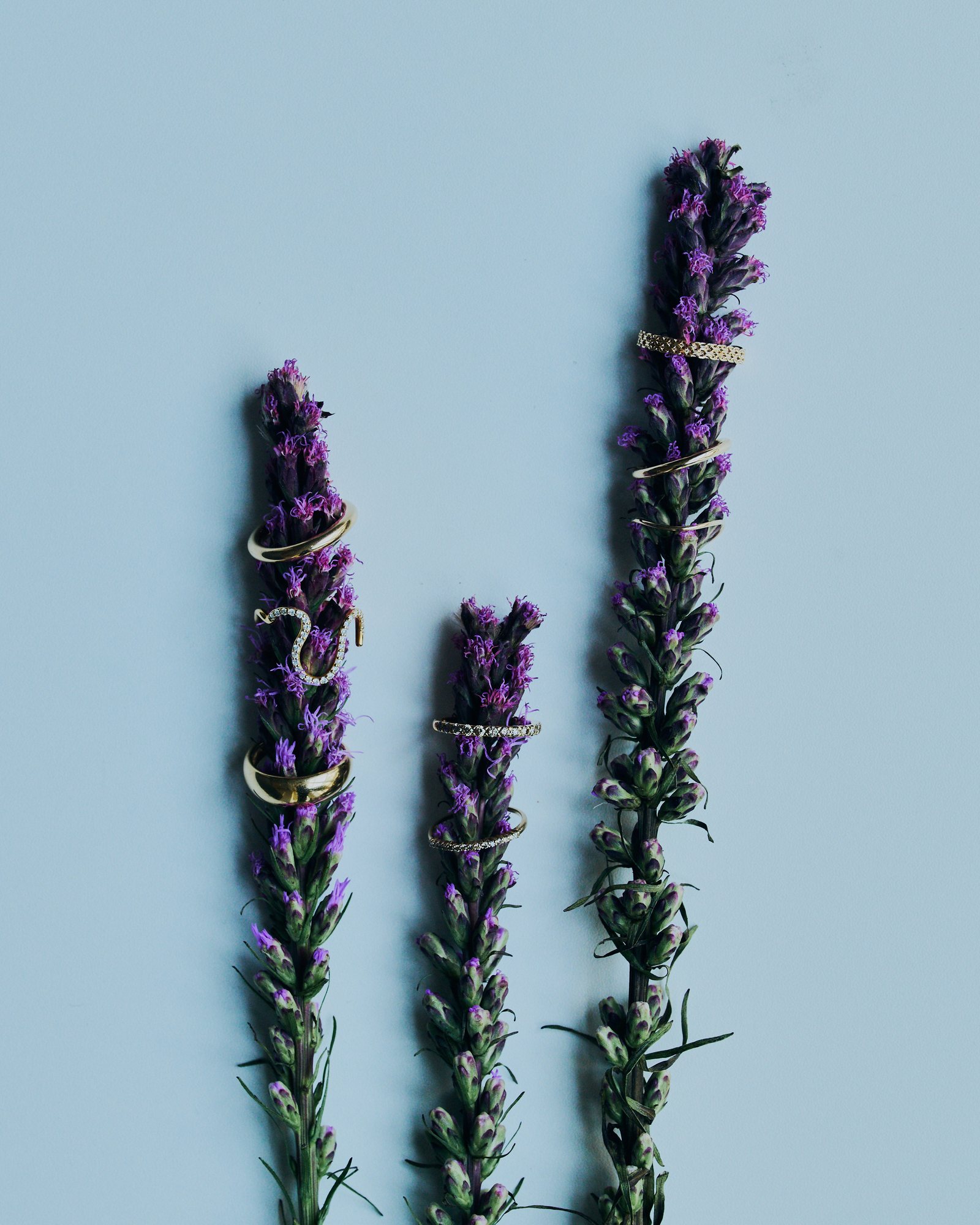 Gold rings on stems of purple liatris on a pale blue ground